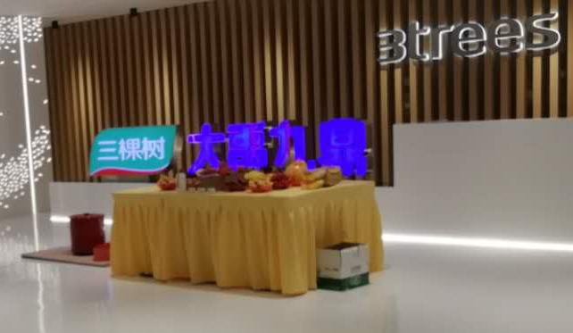 三棵樹(shù)弱電工程